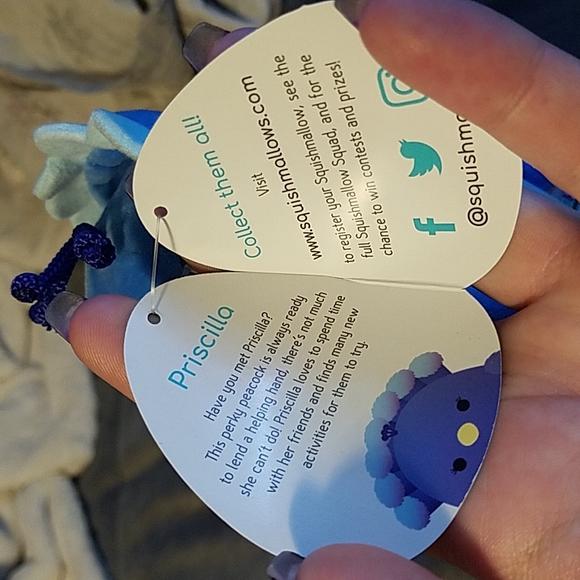 Priscilla  5" squishmallow - Picture 3 of 4